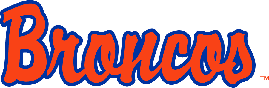 Boise State Broncos 1997-2001 Wordmark Logo t shirts iron on transfers